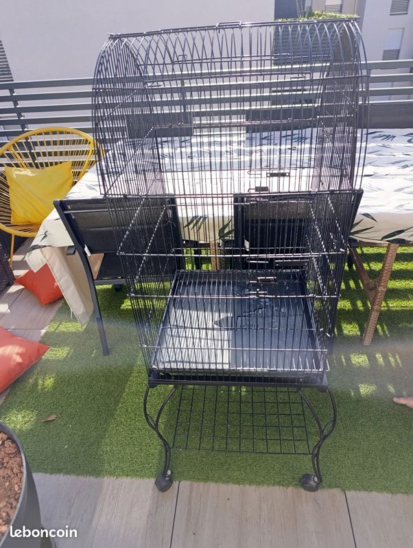 Cage oiseau (image 2)