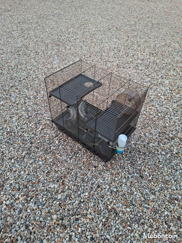 Cage hamster (image 4)