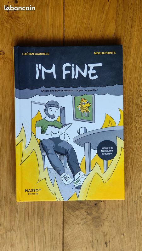 BD I’m fine - très bon état (image 1)
