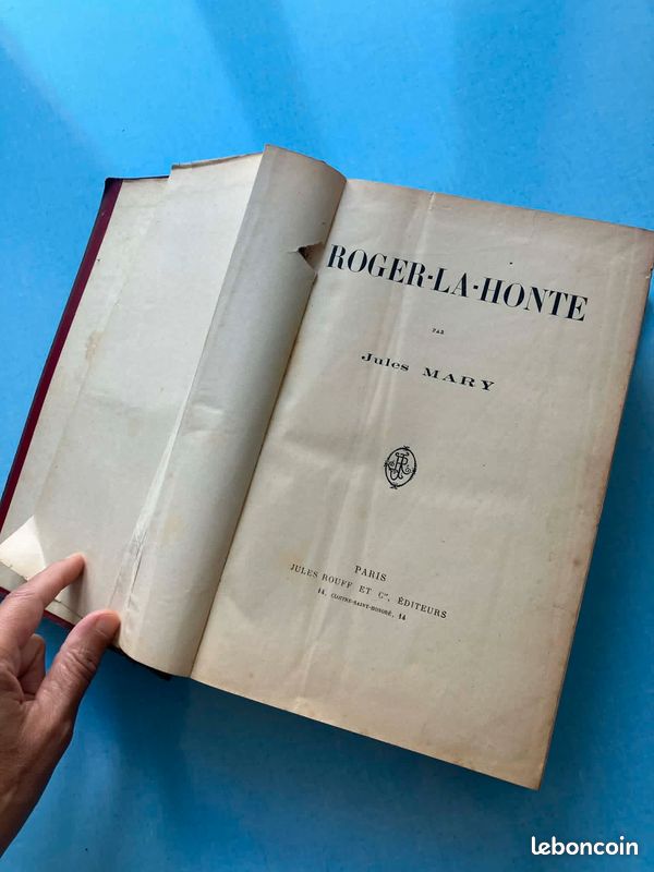 Grand livre Roger la honte par Mary jules (image 6)