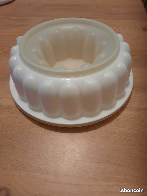 génétiquement Comité recevoir moule à charlotte en plastique raid Inconvénient G