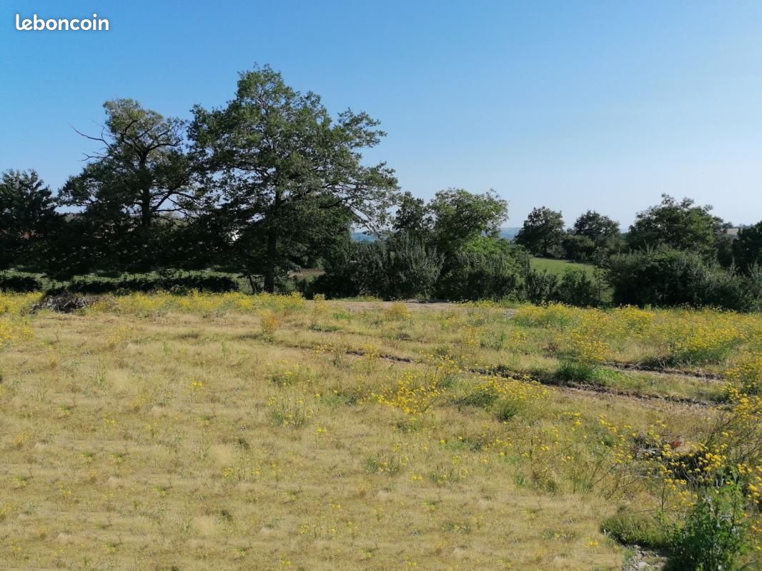 Terrain 704 m² Colombies · à Colombiès · 25 013 €