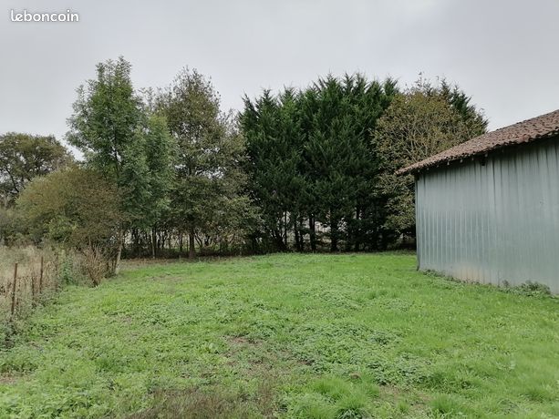 Maison petit prix entre Bellac et Confolens 40 m2 plus cave, grenier et hangar sur 1200 m2 de terrain