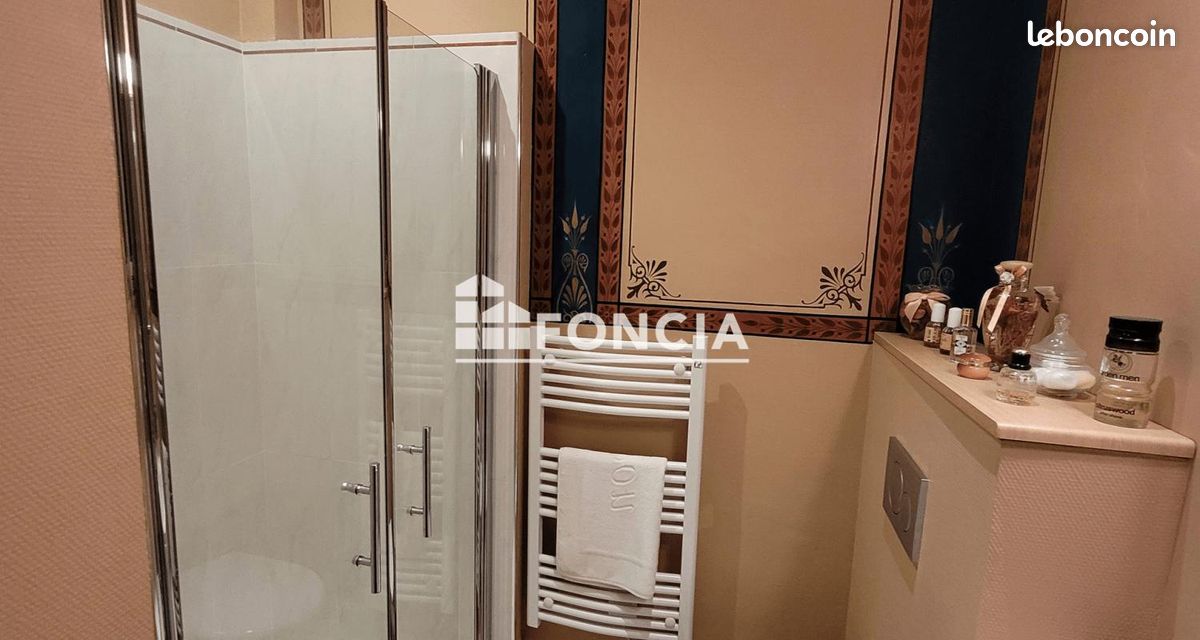 Appartement 3 pièces 98 m² - Limoges 87000 (image principale 5)