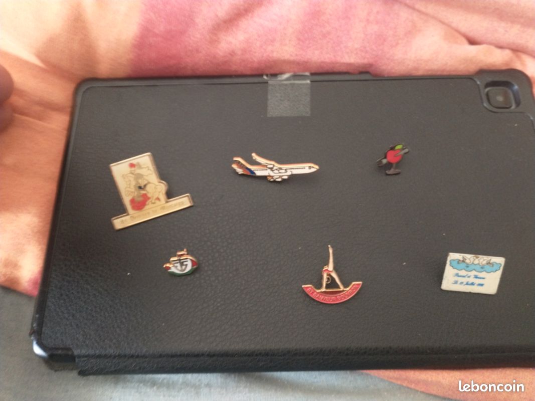 Pins rare (image 1)