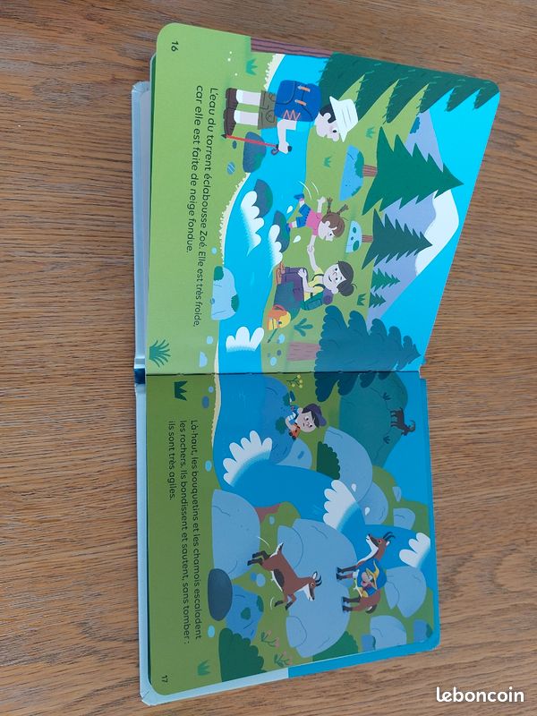 Livre La montagne (image 4)