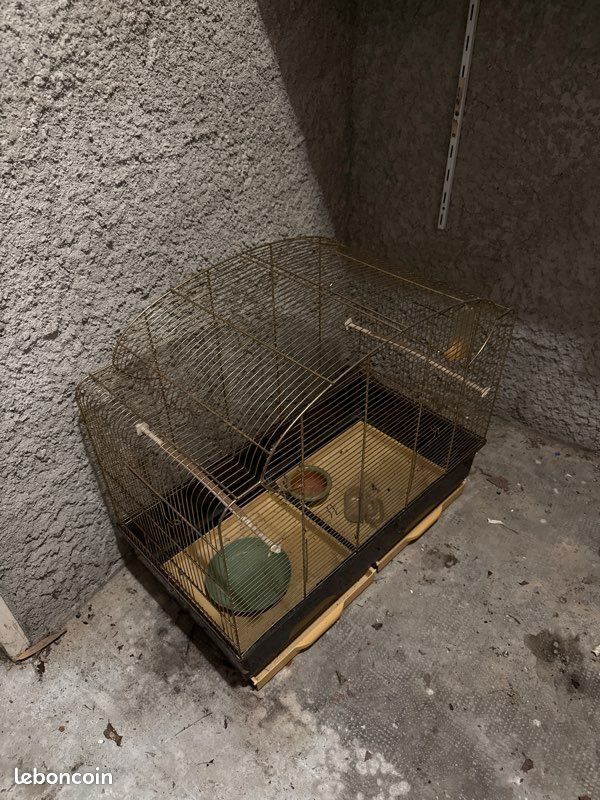 Cage à oiseaux (image 1)