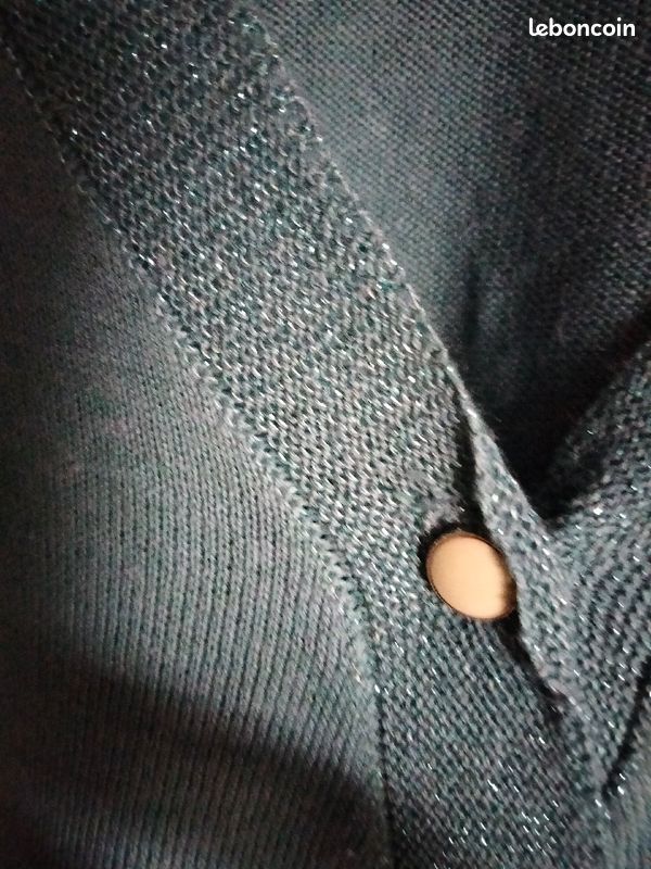 Gilet cache coeur bleu (image 2)