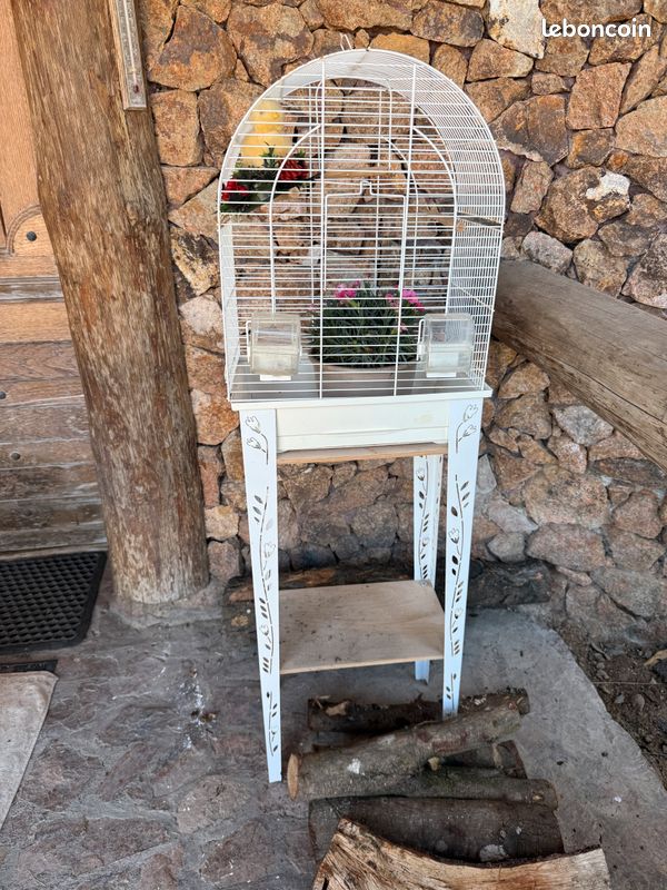 Cage à oiseau (image 1)