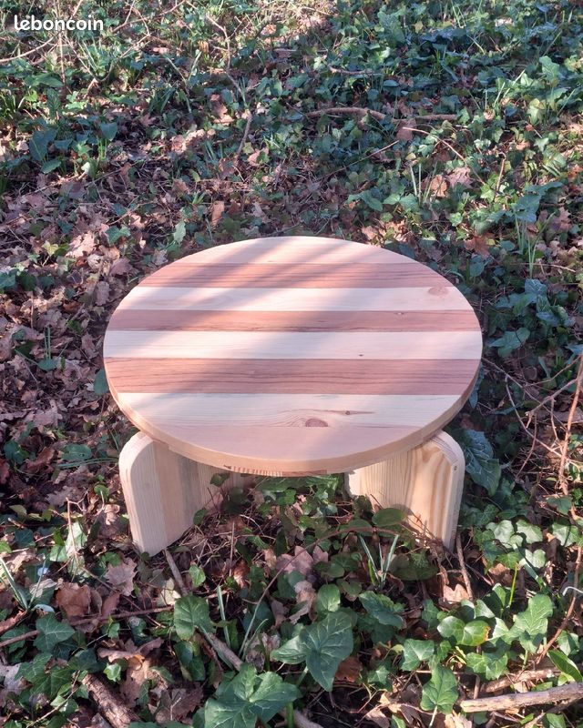 Table basse (image 4)