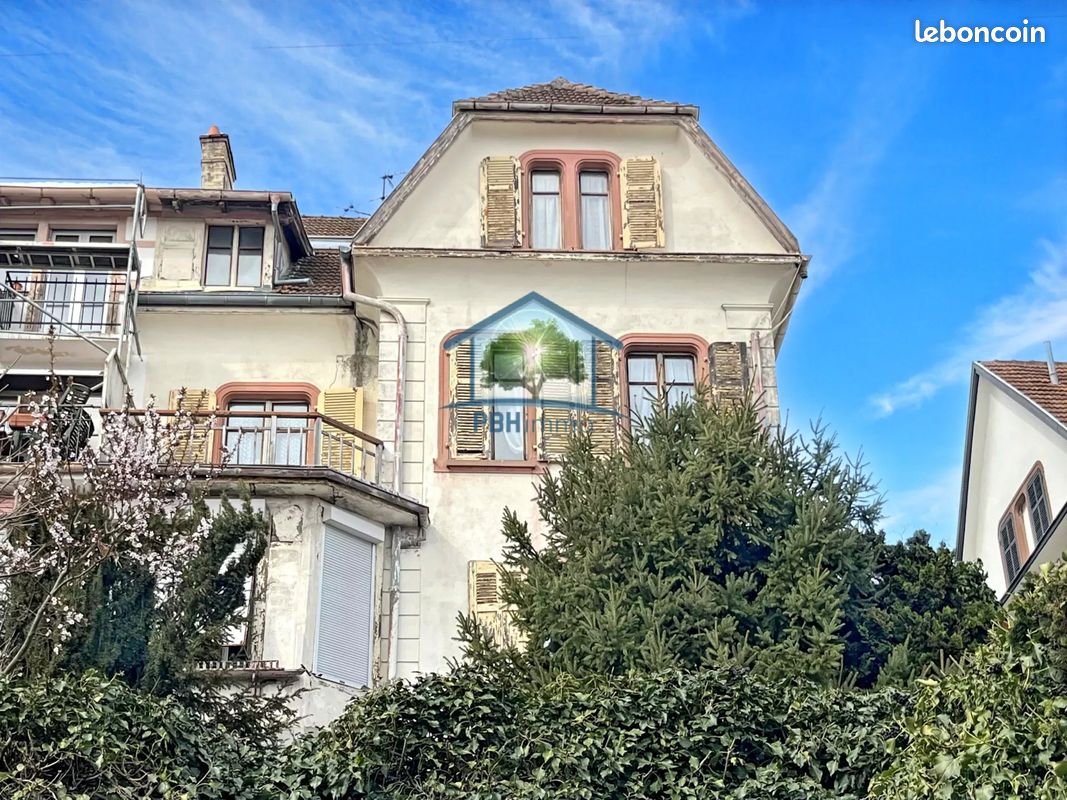 Immeuble 11 pièces · à Riedisheim · 390 000 €