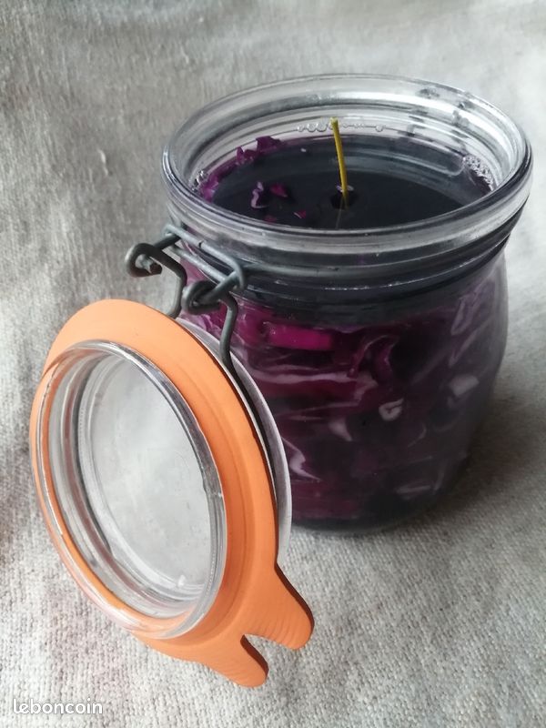 Poids pour lactofermentation en bocaux (Miso, Kimchi, cornichons, ..., le parfait) et tire-poids/légumes (image 13)