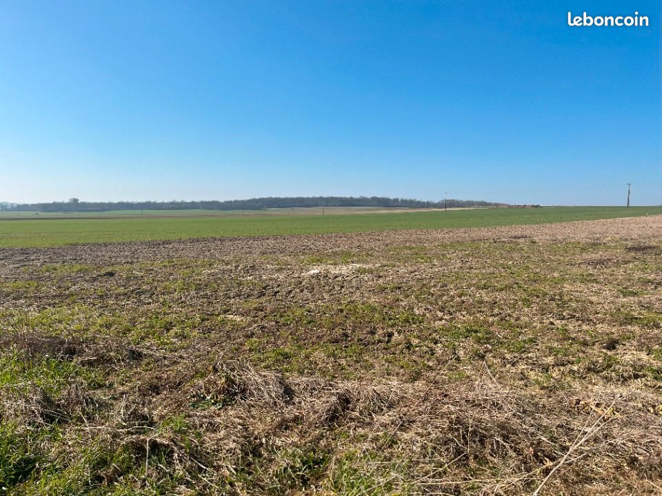 Terrain 468 m² Haute Avesnes · à Haute-Avesnes · 62 000 €