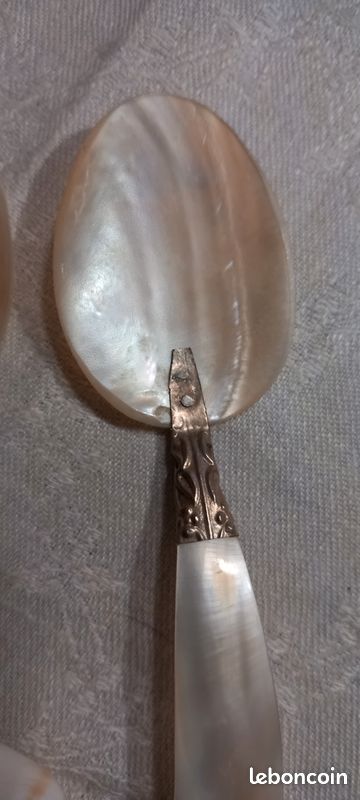 Cuillère à Caviar en Nacre Blanche Naturelle, pour emouf, Café, Outils de Service de Restaurant, Coque Sculptée, Grande-Bretagne, 1 Pièce  15