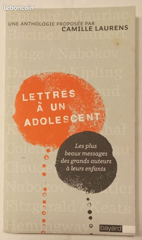 Lettres à un adolescent - réunies par Camille Laurens (image 1)