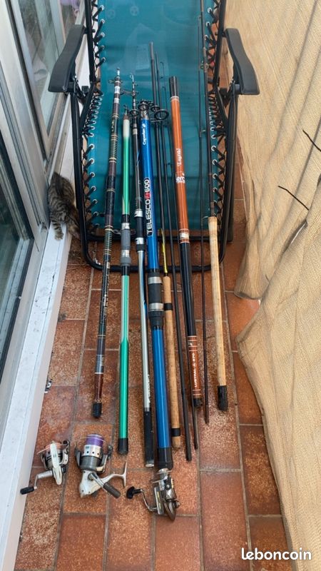 Lot de canne a pêche (image 1)