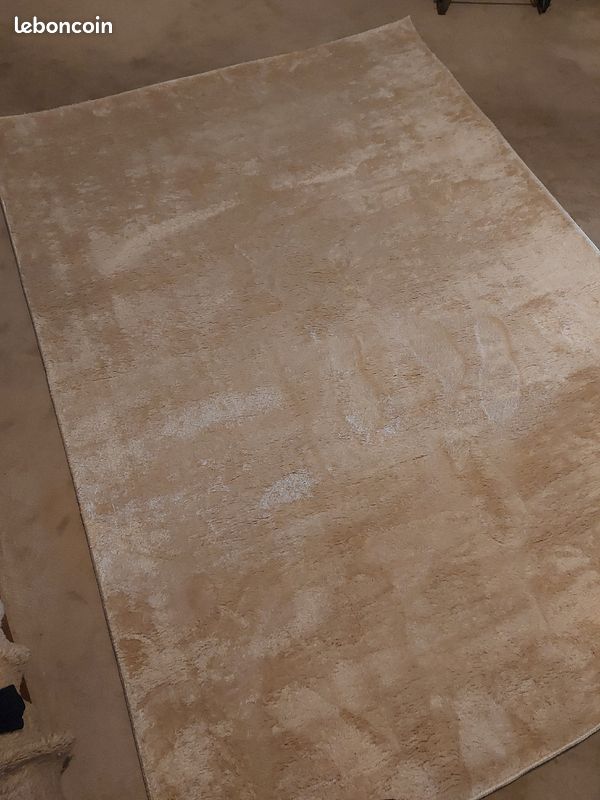 Tapis beige tres clair, tres doux (image 2)