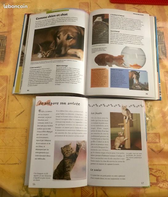 Lot 2 livres jeunesse sur les chats (image 2)