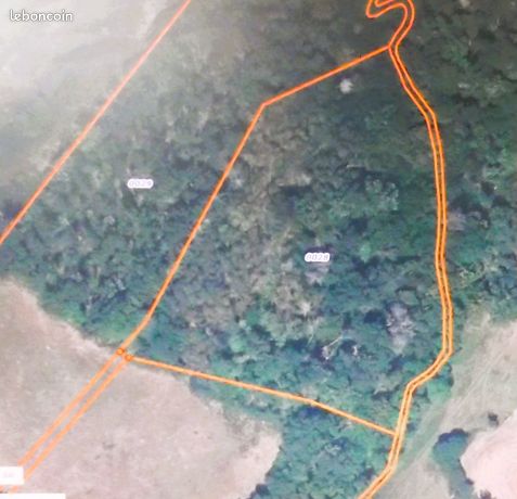 Terrain boisé de 9630 m2 à Bransat