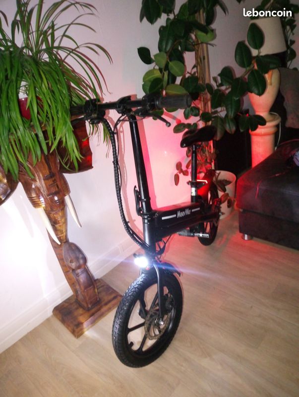 Draisienne electrique (image 4)