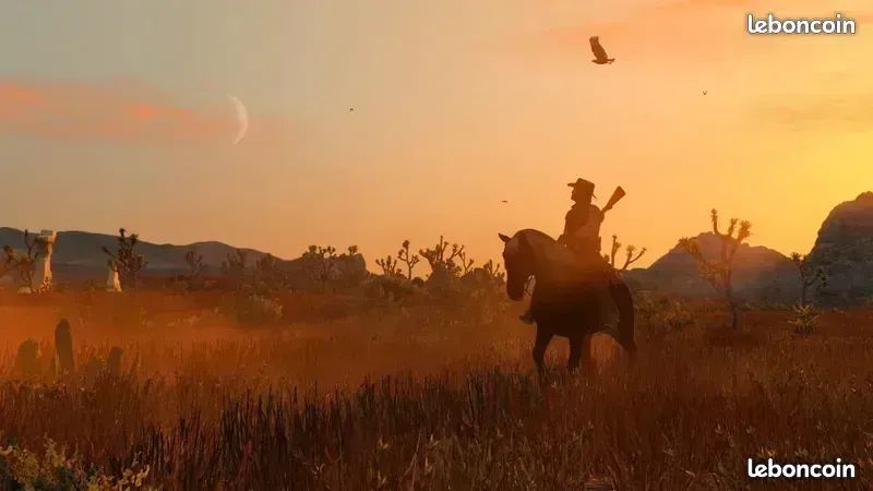 JEU FAR WEST BRUTAL SANS PITIÉ AVEC DE NOMBREUSES ARMES DONT CELLE APPELÉE "LE FAISEUR DE VEUVE" LOL . RED DEAD RÉDEMPTION DU CÉLEBRE LABEL ROCKSTAR (GTA, etc) (image 10)