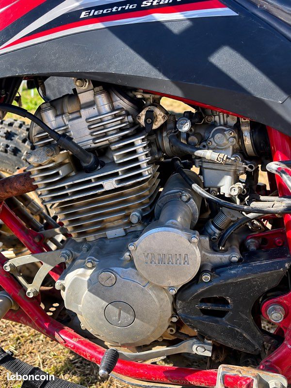 250 raptor (image 3)