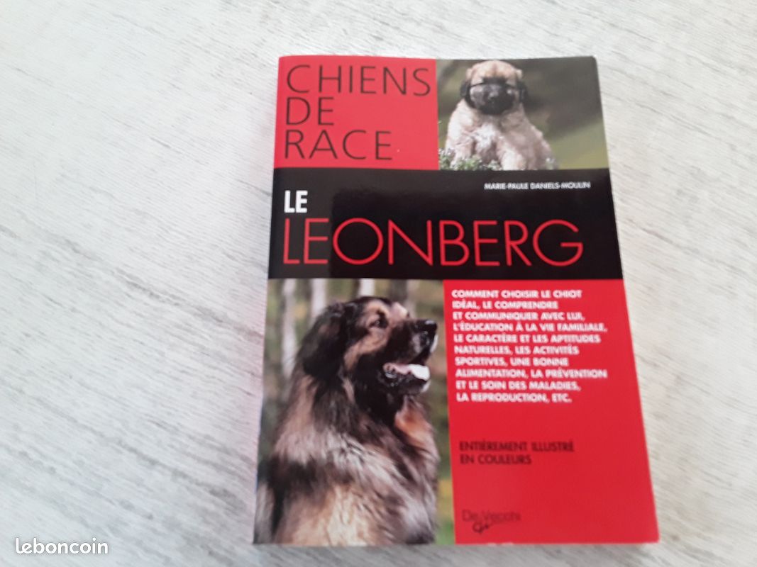 Le Leonberg (image 1)