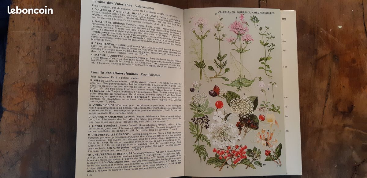 Guide des fleurs sauvages (image 3)