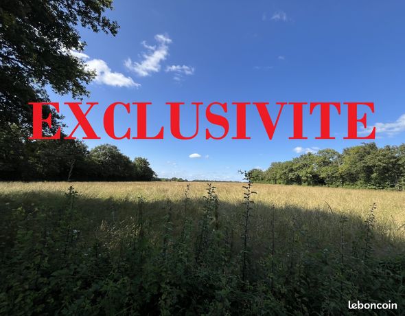 Terrain 17894 m² Mouhet