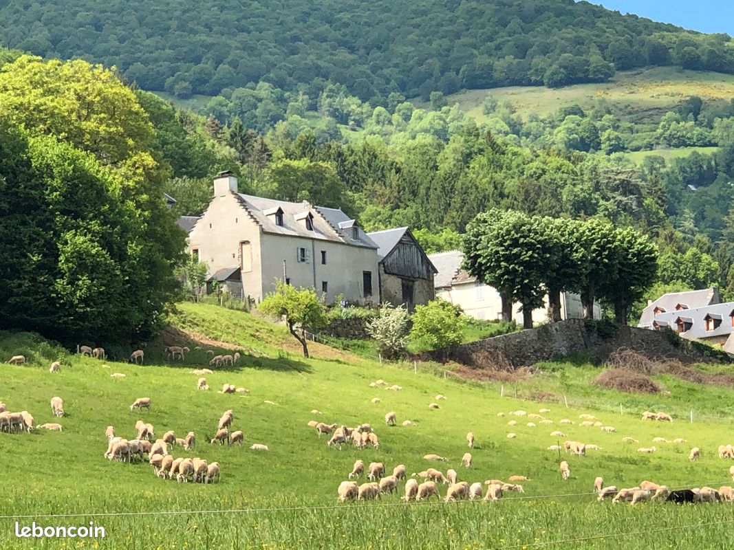 Maison de village avec extérieur à 12mn de Bagnère-de-Luchon (image 3)