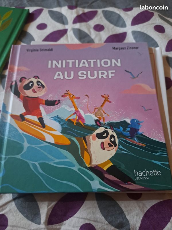 Initiation au surf (image 1)