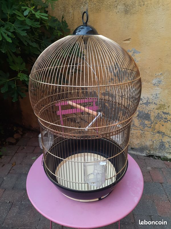 Cage à oiseaux (image 2)