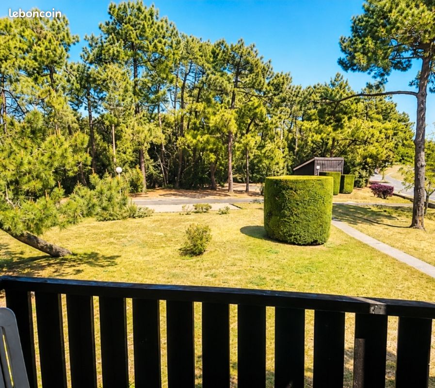 Appartement 1 pièce 19 m² · à Saint-Georges-de-Didonne · 19 m² · 99 000 €