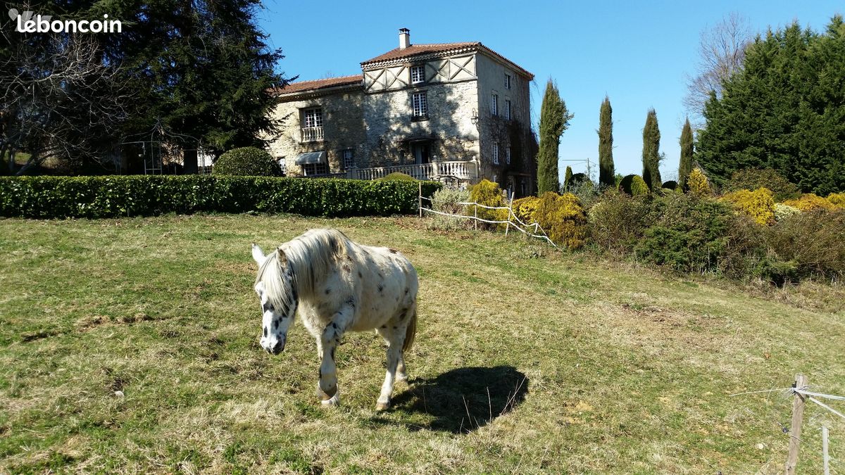 Maison 22 pièces 680 m² (image 7)