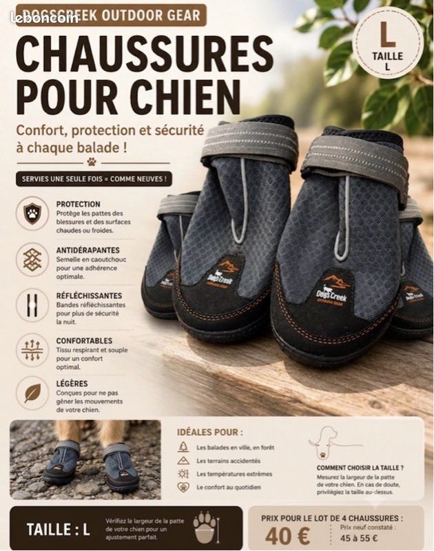 Chaussure pour chien (image 1)