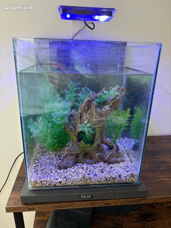 Aquarium Zolux (image 1)