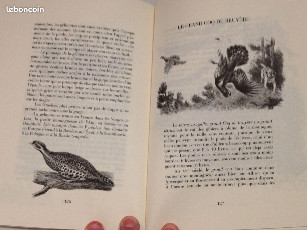 Gibiers de notre pays. Livre quatrième : Les chiens d'arrêt, gibier à plume de la plaine et des bois | Rakuten