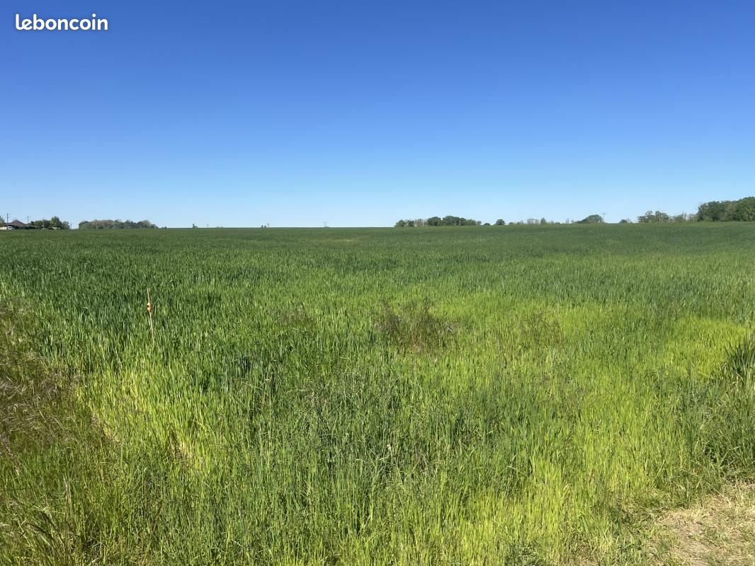 Terrain 603 m² Verrieres · à Verrières · 62 700 €