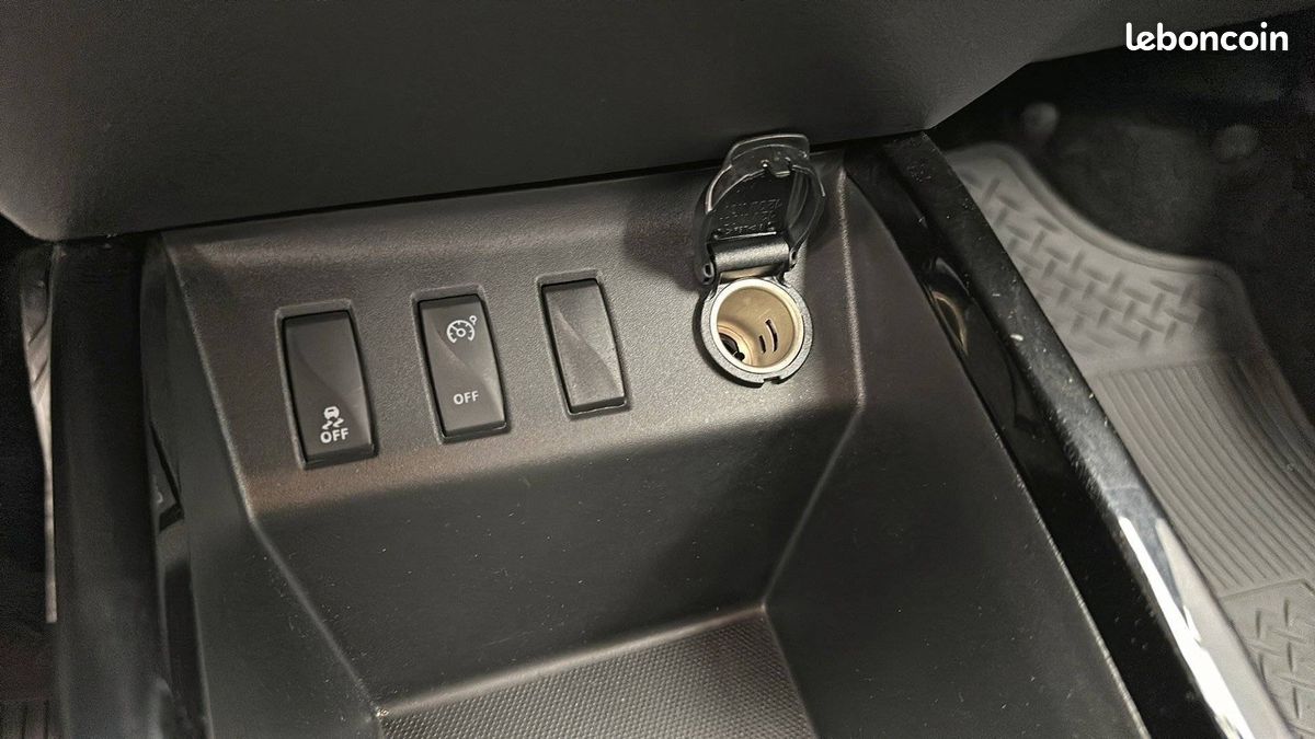 Dacia spring expression (image 24)