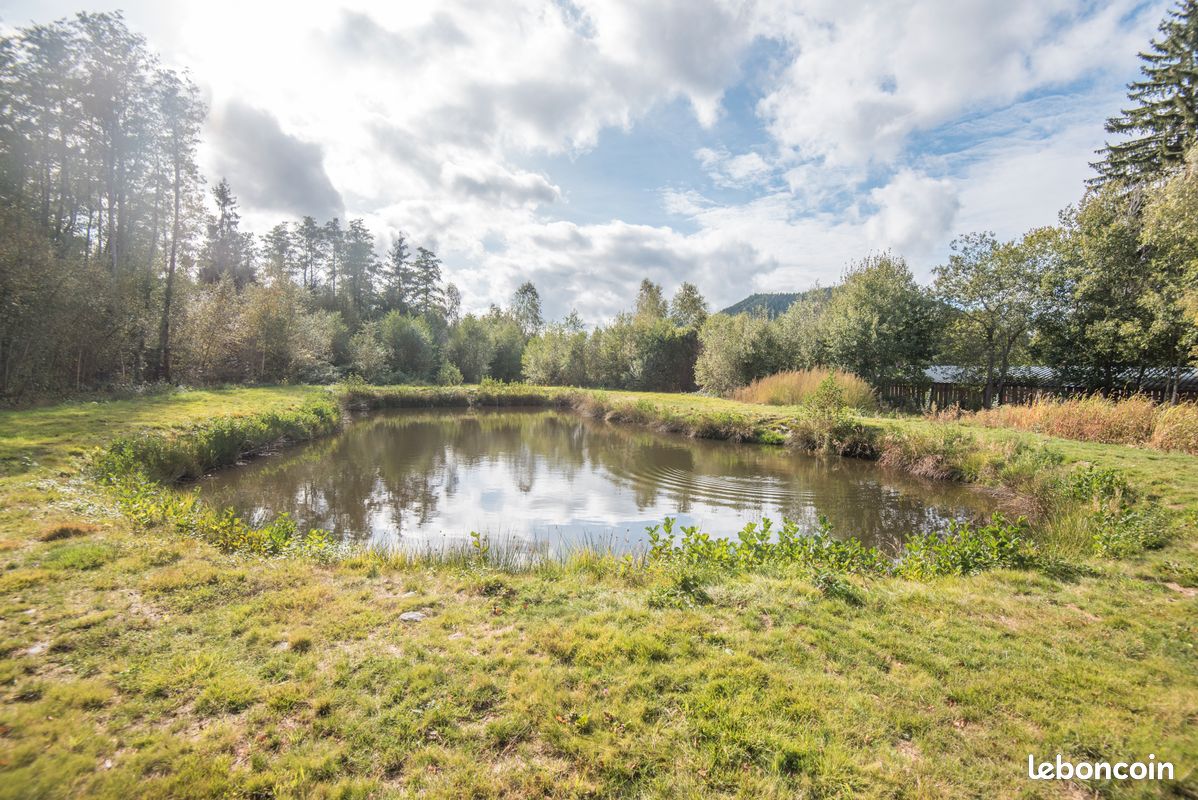 Chalet de charme, étang et jacuzzi que pour vous, pleine nature, 6 personnes (image 3)