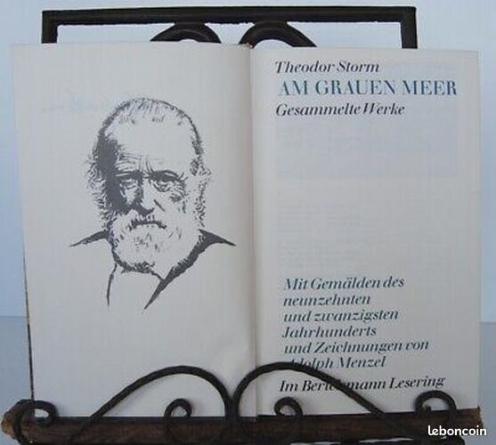 [Livre] AM GRAUEN MEER Gesammelte Werke Herausgegeben von Rolf Hochhtuh - Bon état (image 2)