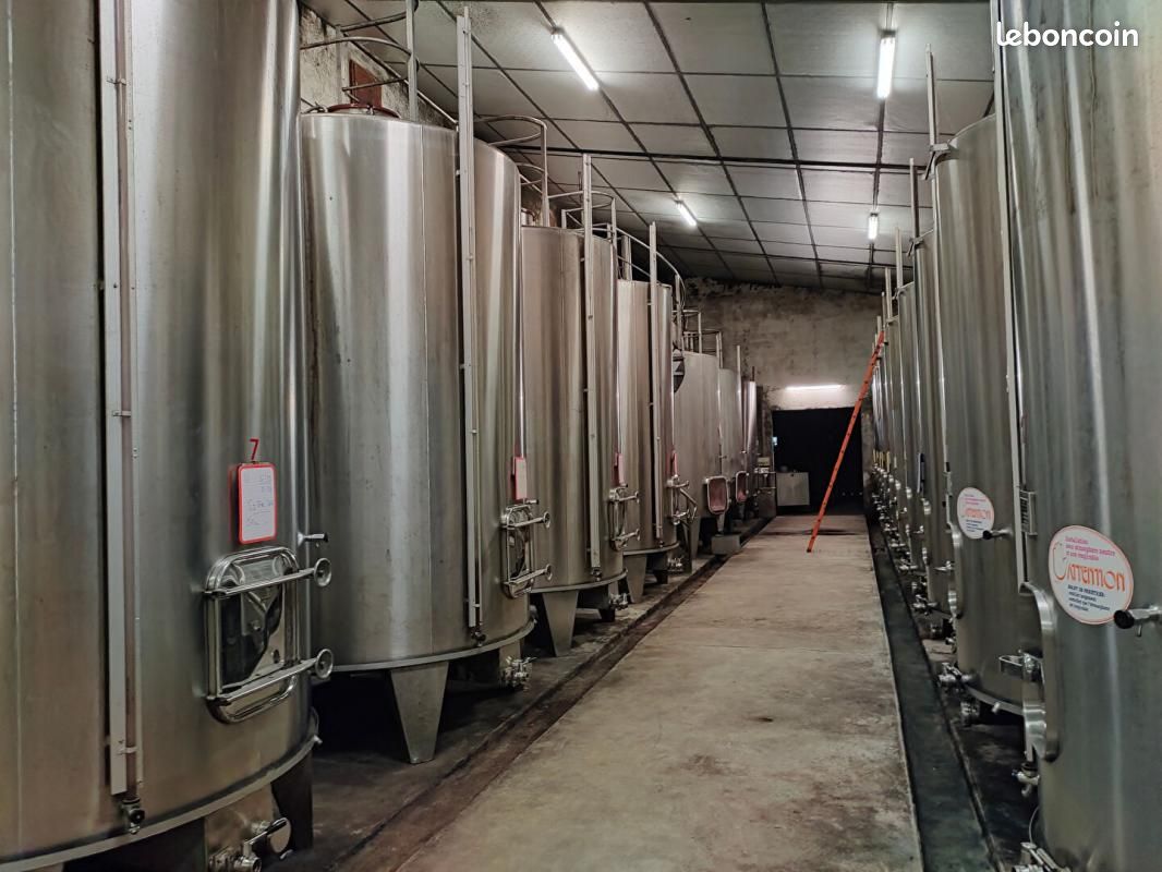 Ferme 5 pièces 1 000 m² - Barsac 33720 (image principale 8)