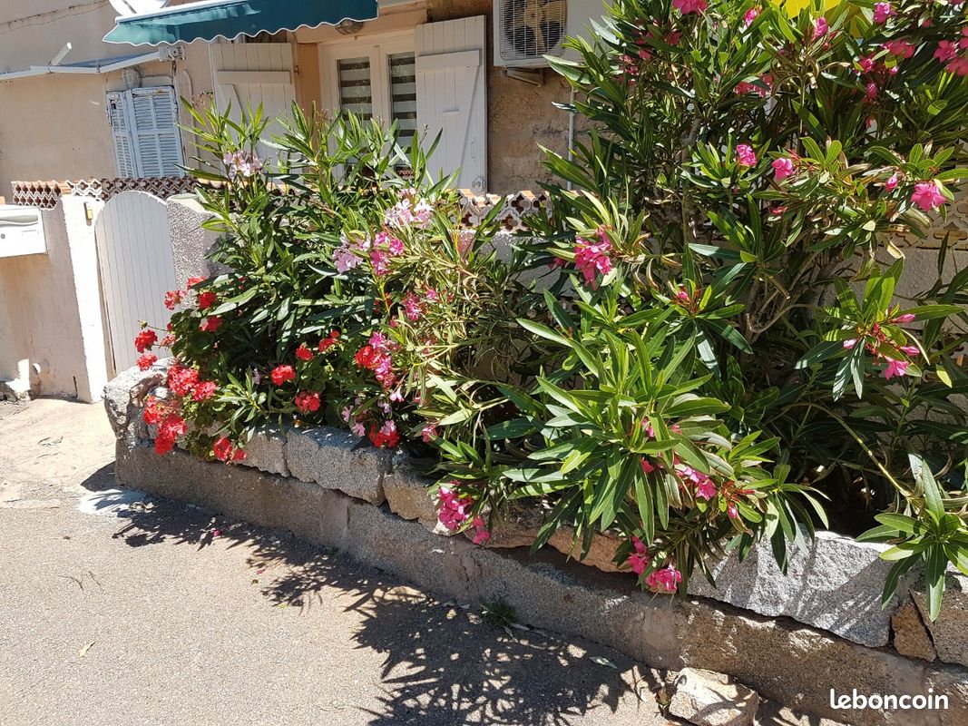 Maison 2 pièces 46 m² · à Monacia-d'Aullène · 46 m² · 800 €/mois