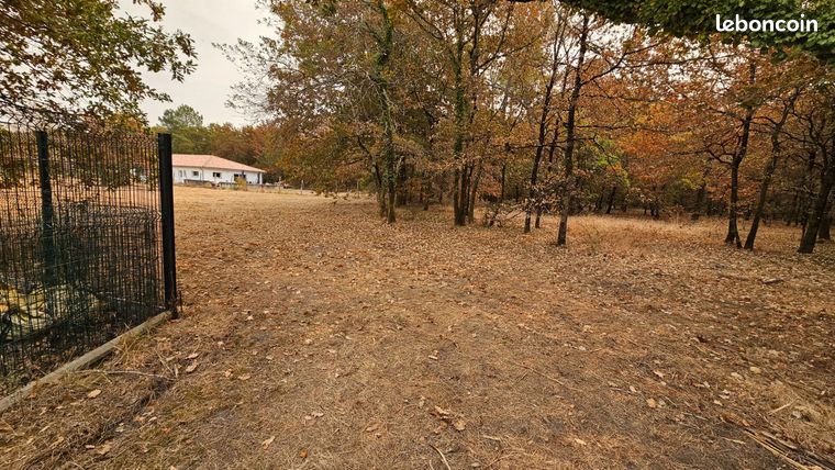Terrain 2335 m² SAUGNAC ET MURET