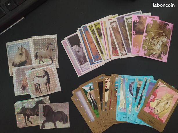 Panini Merveilleux Chevaux Trading Cards Box mit 24 Hüllen, 005011BOX24F
