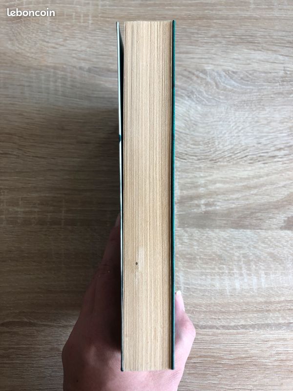 Livre A l'ombre de nos larmes d'Eric Le Nabour TBE (image 4)