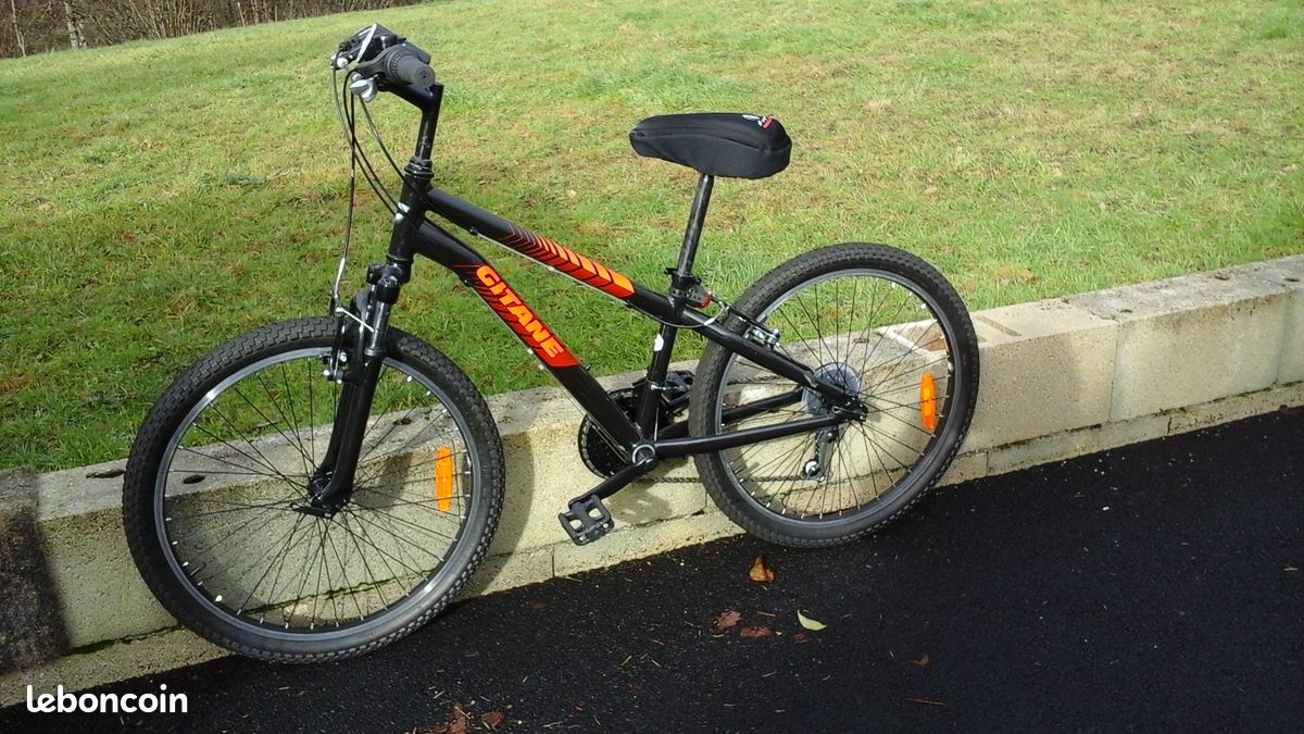 Vends vélo VTT (image 2)