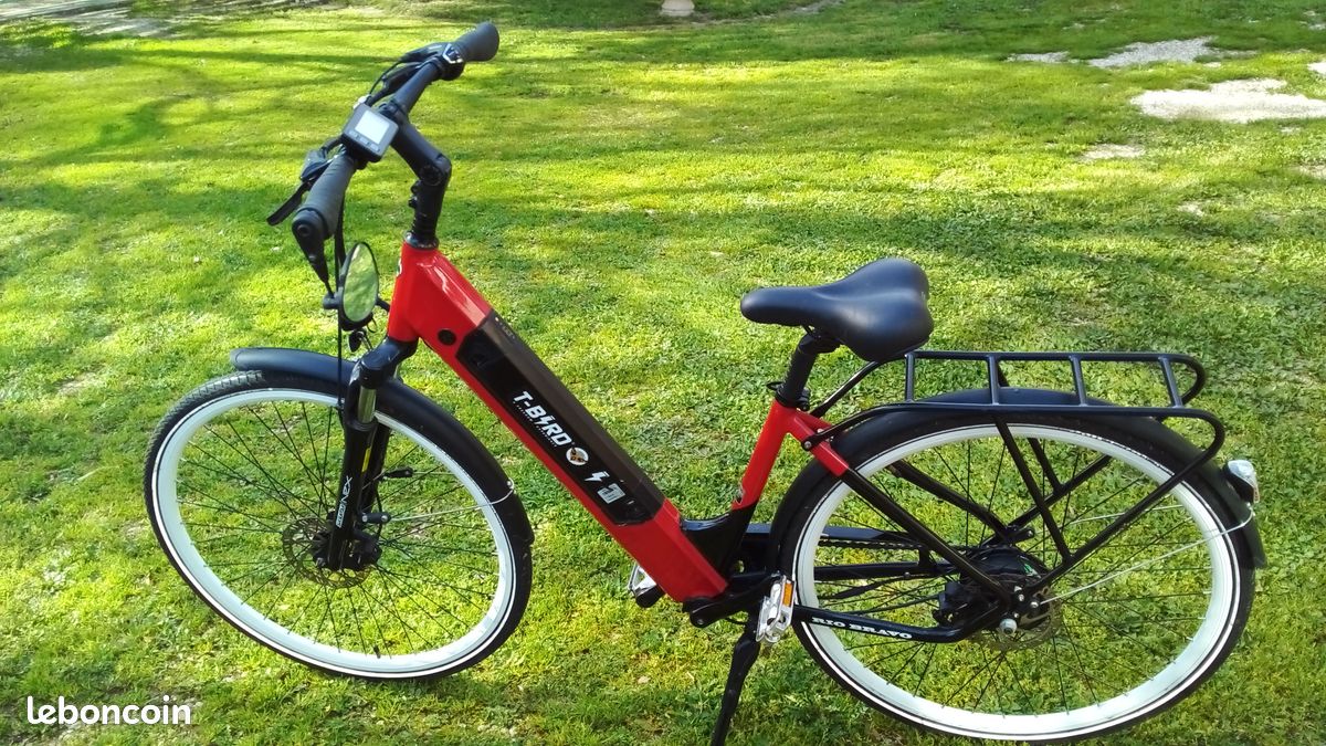 Vélo assistance électrique T-BIRD RIO BRAVO Vélos