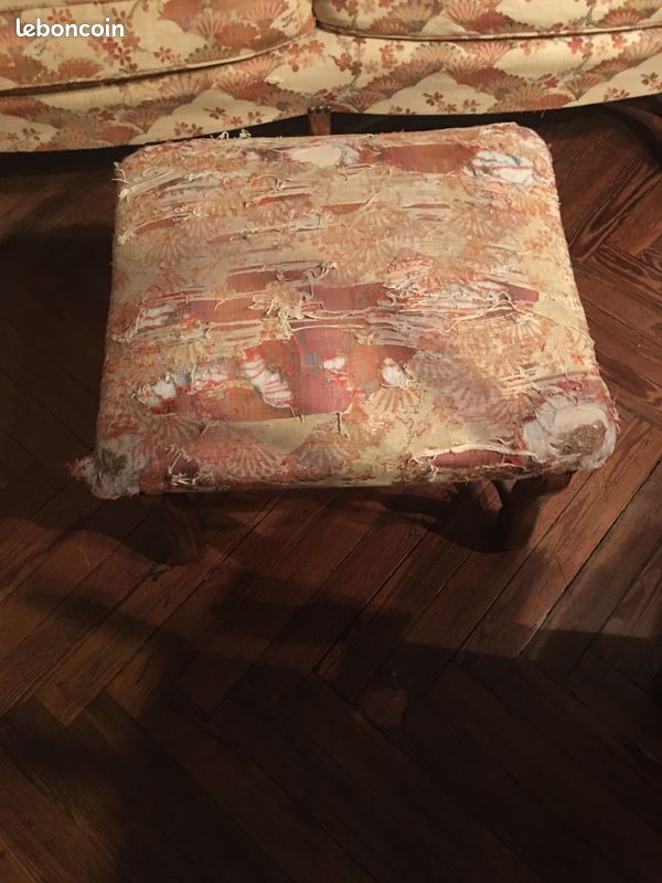 2 canapés avec repose pieds (image 3)