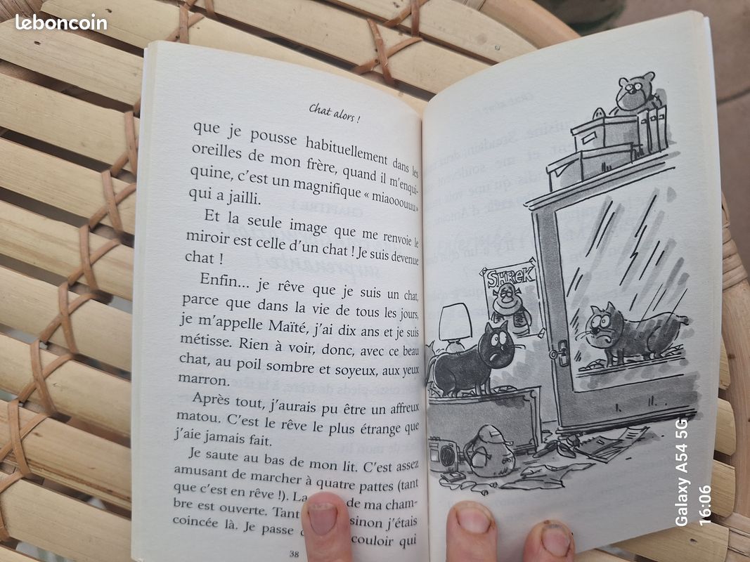 📚 Livre "Roudoudou – Le chat aux crottes d’or" (image 3)